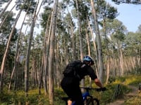 2021.08.17 #MTB2K21 Day 3 - Lupine Gunsight...