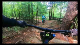 Highland Shillelagh to Eastern Hemlock