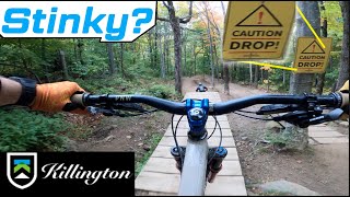 Stinky Skills Park - From Step it UP - Killington