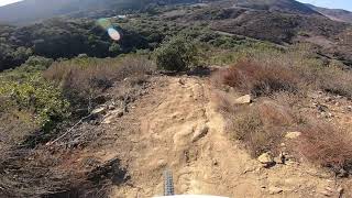 Local Steep One on the Specialized Status 10/9/21