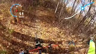 Fast and Loose and Bed Bug trails