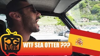 Let's Go To The FIRST SEA OTTER EUROPE in...