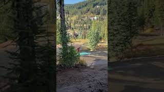 Frontie drop from Crankworxs BC