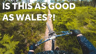 MTB DOWNHILL RIDING AT PEASLAKE ** WHY HAVENT...