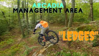 MTB Arcadia Management Area 'Ledges'