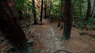 Lower Pig Track @ Tunnel Gully. Upper Hutt