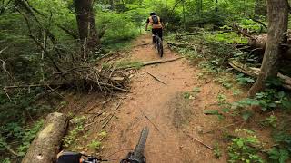 Spinal Tap | Turkey Point | MTB