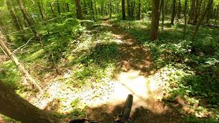 The Stroller | Turkey Point | MTB