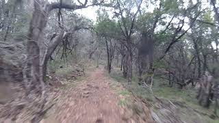 Possum Kingdom Lake Bike Trail - TX, Feb. 2021