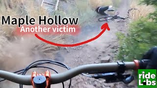 Maple Hollow takes another victim