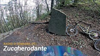 Zuccherodante, Bagno di Romagna (FC) 16-10-2021