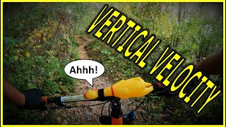 Vertical Velocity at Saw Wee Kee