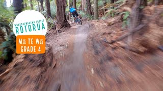 ScandyLAND - Mā Te Wā Trail, Rotorua