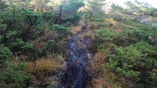 Oktoberfest ss1 Bier @hetlebakksåta #bergenduro