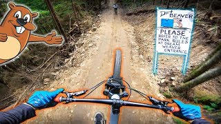 New Trail At Snowshoe Bike Park!! | Dirt...