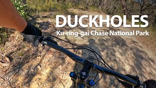 Mountain bike best sale trails northern beaches