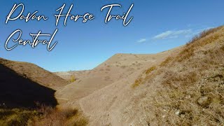 PAVAN HORSE TRAIL(CENTRAL), 2021 (RAW RIDE)...
