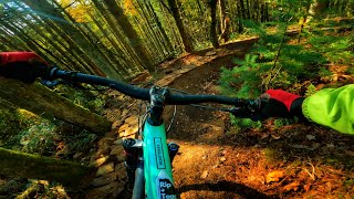 AVERAGE MOUNTAIN BIKE RIDE IN SOUTH WALES!