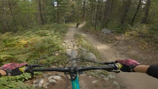 NIMBY (Bootleg mountain)