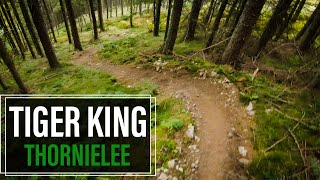 Tiger King - New Trail At Thornielee | GoPro...