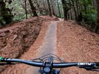 Te Poaka (NEW!!!) @ Whakarewarewa Forest Rotorua