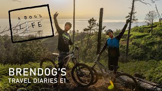 A DOGS LIFE - S2 Ep1 MADEIRA  Brendan...