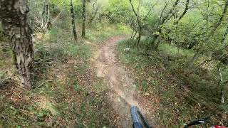 Grożnjan - Saltarija trail