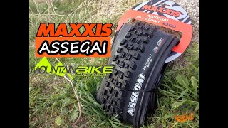 Cubierta MAXXIS ASSEGAI ⚙️ | Evolución de...