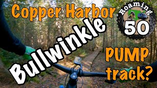 MI MTB A pump track worthy add-on loop? |...