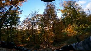 Riding in beautiful autumn colors