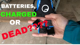 DIY ~ Batteries, Charged or Dead????