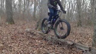 Old Man ~ Fat Bike 2