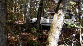 Land Rover Range Rover Classic - In The Woods 1