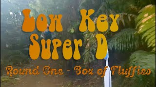 Low Key Super D R#1 - I ended up chasing a...