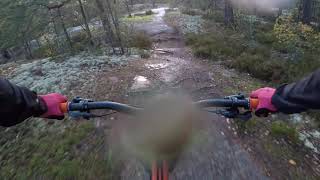Swedish MTB Trail - Shock To The System
