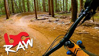 Leaping Lizard is a Pristine Jump Trail -...