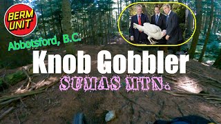 Knob Gobbler- EXTENDED & UNCUT - Sumas...