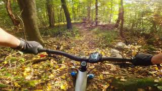 Black Dog-Birdsboro Preserve