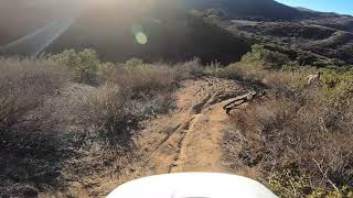 Steep Trail #82 once again
