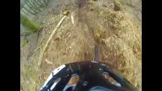 Local Yorkshire trails - No2