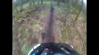Local Yorkshire trails - No3