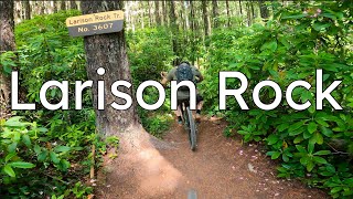Larison Rock || Oakridge Oregon