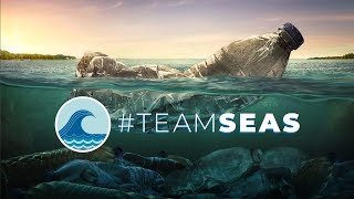 Drains to Ocean #TEAMseas