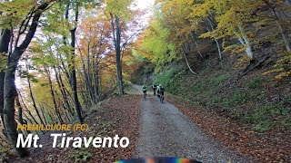 Mt. Tiravento, Premilcuore (FC) 30-10-2021