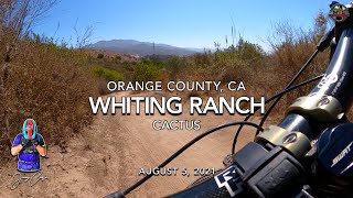 MTB Riding Cactus x3 at Whiting Ranch, August...