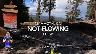 MTB Riding Flow on Mammoth Mountain, July 9,...