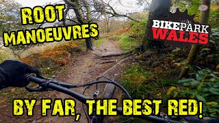Root Manoeuvres BPW - Best Red By Far! -...