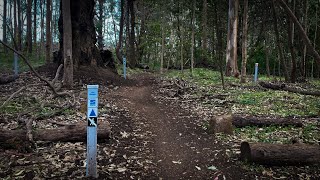 Line Manager - The Pines, Margaret River