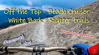 Off the Top - Beach Cruiser - White Bark -...