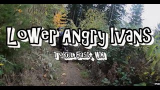 Lower Angry Ivans, Mountain Bike Tokul East, WA